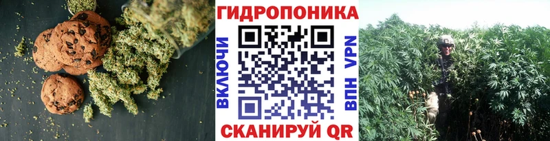 Печенье с ТГК конопля  omg ссылки  Новопавловск 