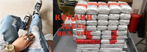 дживик Бежецк