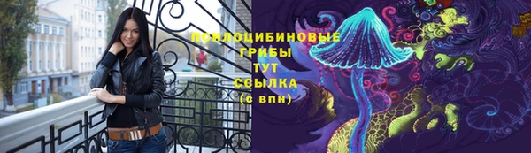 дмт Надым