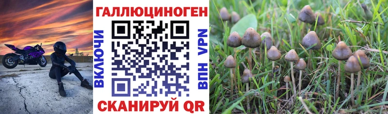 закладка  blacksprut ТОР  Псилоцибиновые грибы ЛСД  Новопавловск 