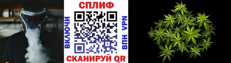 Бошки марихуана планчик Новопавловск